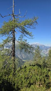 Foto von Richard Seba entlang der Tour