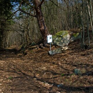 Stein und Zeit Weg