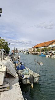 Foto de Mangolein a lo largo del recorrido