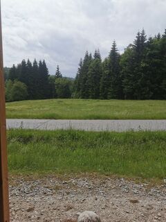 Zdjęcie z Waldläufer wzdłuż trasy