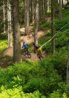 Hochalm Trail