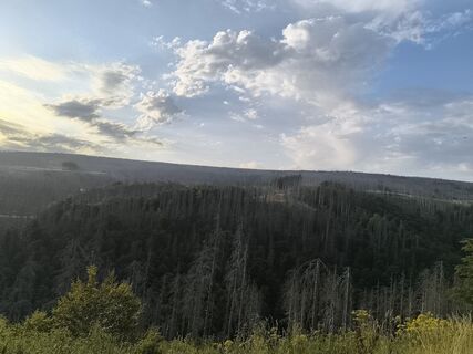 Foto de Enrico Müller a lo largo del recorrido