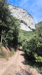 Photo de CPQS le long du parcours