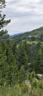 Photo de Alfred Haydn le long du parcours