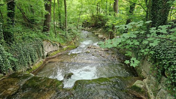 Foto de EP87 a lo largo del recorrido