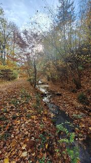 Foto von Regina Fleischmann entlang der Tour