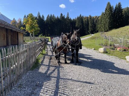 Foto von Anton Harff entlang der Tour