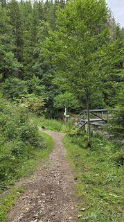 Foto fra Astrid L. underveis på turen