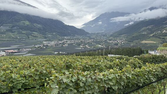 Photo de Rüdiger Schaer le long du parcours