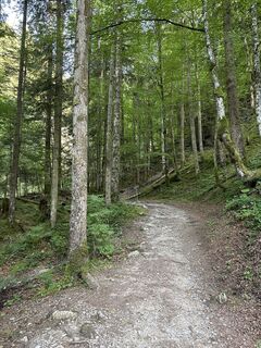 Foto von Cyrill Bischof entlang der Tour