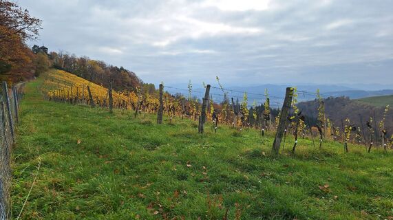 Fotografia z Karl Kriegseisen na trase