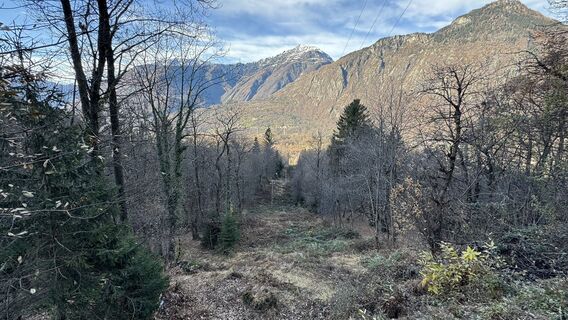 Photo de peter_oe le long du parcours