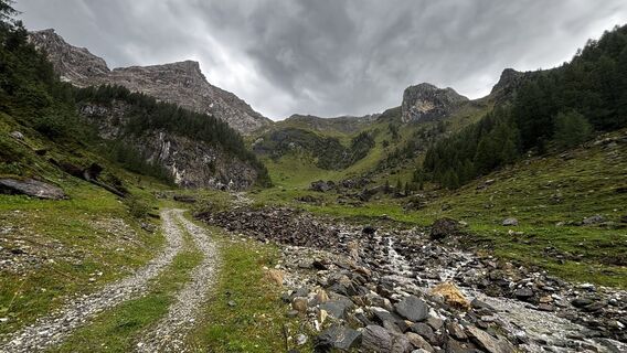 Fotografia z sagal na trase