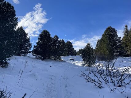 Foto de Amiks a lo largo del recorrido