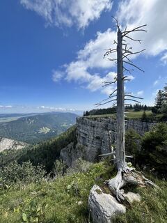 Foto da Lillo Condello lungo il tour