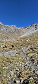 Foto von Elisabetha entlang der Tour