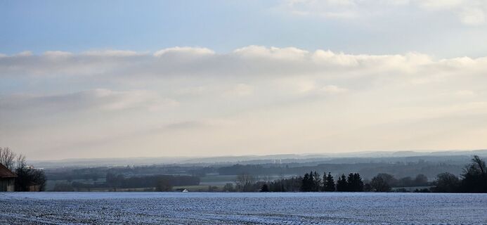 Foto de garrincha a lo largo del recorrido
