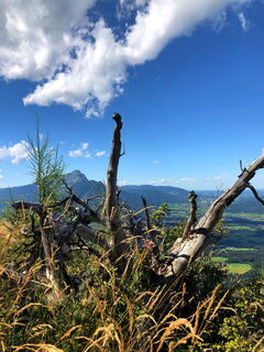 Die Wilden vom Untersberg