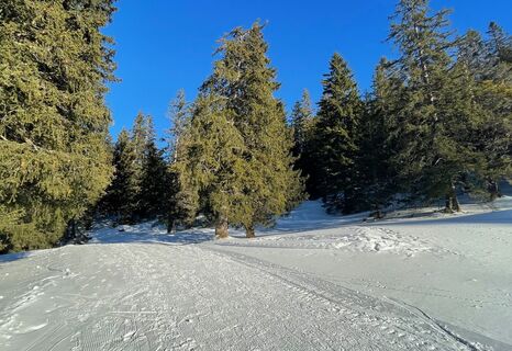 Winterwanderung Chrüz-Prodalp