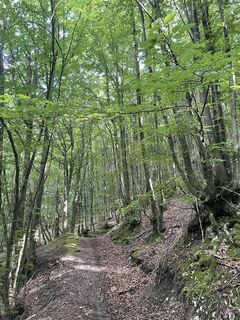 Foto von Serena Ancori entlang der Tour