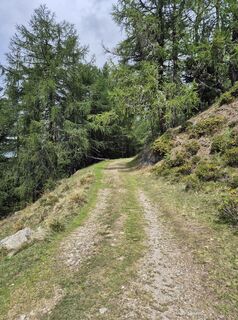 Foto de Patrick Unger a lo largo del recorrido