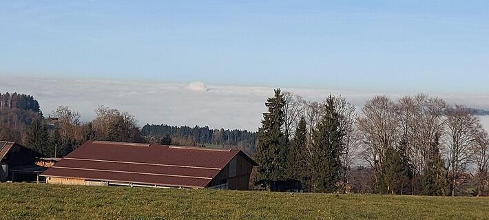 Fotografija s spletne strani brauni69 na poti