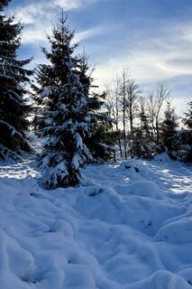 Zdjęcie z TallWanderBilly wzdłuż trasy