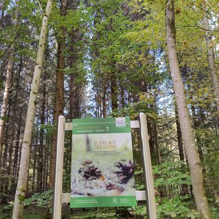 Station am Waldbadepfad Assamstadt