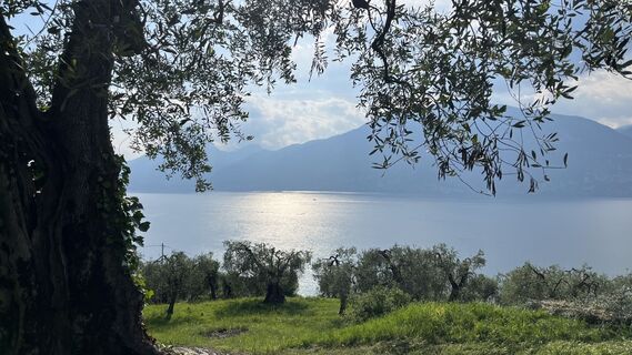 Foto von Ma Wa entlang der Tour