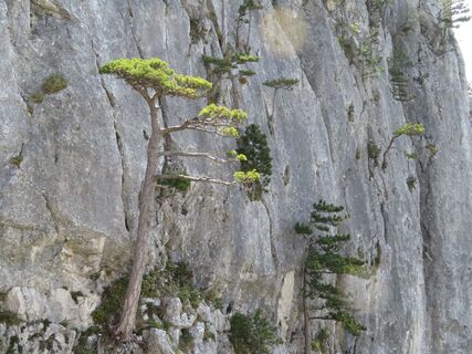 Peilstein: Matterhorn- , Couloir- und Haserlstiege