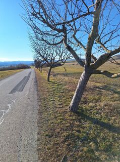 Foto von Andrea Roschek entlang der Tour