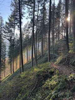 Fotografija s spletne strani Tobias Rudolph na poti