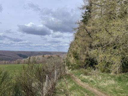 Foto von MarijkeL entlang der Tour
