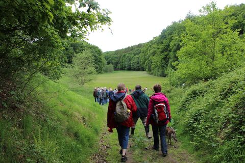 Teutoburger Wald | Werther (Westf.) | proWi GT