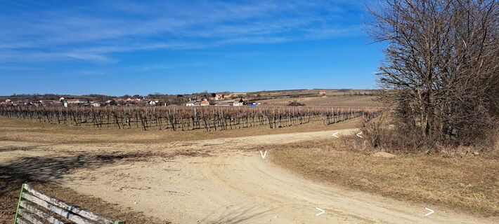 einmal ums Eck (Blick zurück)