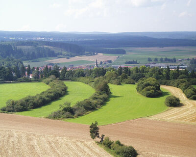 Die Heckenlandschaft bei Bräunlingen