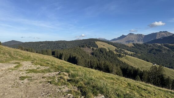 Foto från peter_oe under resans gång