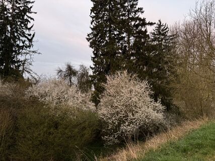 Fotografia z Schaali na trase