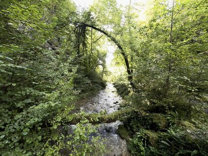 Photo de GabrielSR76 le long du parcours