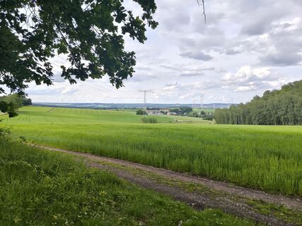 Photo de J S (evechen) le long du parcours