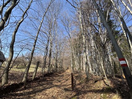 Foto von Yan Liu entlang der Tour