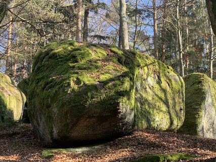 Fotografie de la Karl 6String de-a lungul turului