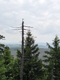 Foto van Lu. na langs de tour