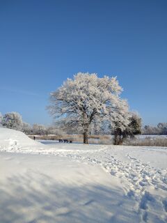 Foto von Gierrad entlang der Tour