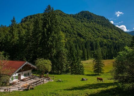 moaralm inzell