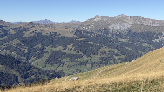 Foto von Peter Burki entlang der Tour