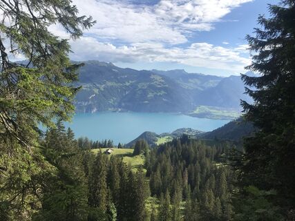 Fotografija s spletne strani Martin Reinhard na poti