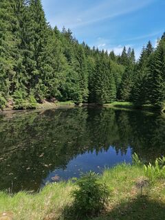 Foto von Monka entlang der Tour