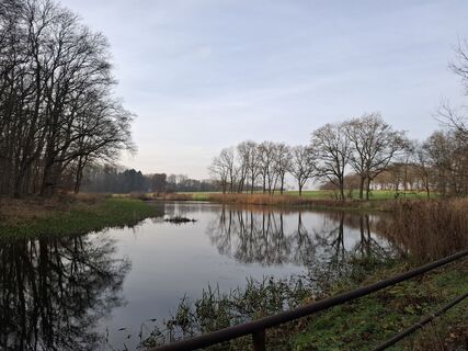 Fotografia z nordbergschnecke na trase