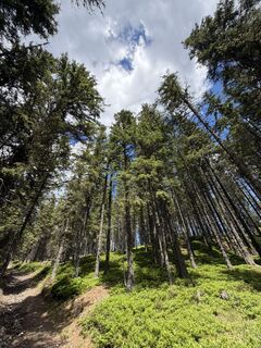 Fotografija s spletne strani Tamás Ónodi na poti